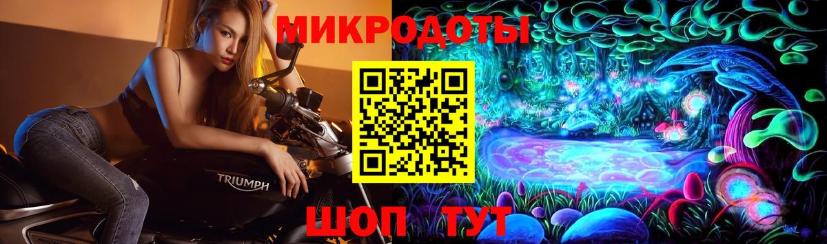 Галлюциногенные грибы Psilocybe  Вход с VPN  Кириши 